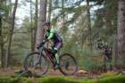 dsc02809_small.jpg