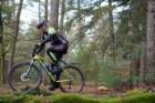 dsc02810_small.jpg