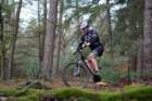 dsc02817_small.jpg