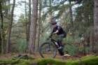 dsc02822_small.jpg