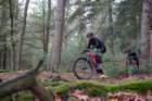 dsc02836_small.jpg