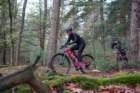 dsc02837_small.jpg