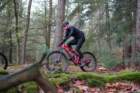 dsc02838_small.jpg