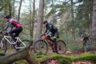 dsc02843_small.jpg