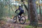 dsc02853_small.jpg