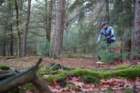dsc02866_small.jpg