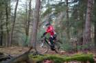 dsc02874_small.jpg