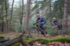 dsc02876_small.jpg