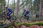 dsc02877_small.jpg