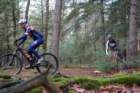 dsc02878_small.jpg