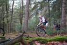 dsc02879_small.jpg