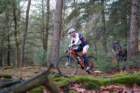 dsc02880_small.jpg