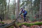 dsc02881_small.jpg