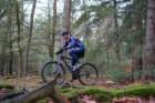 dsc02882_small.jpg