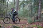 dsc02885_small.jpg