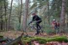 dsc02886_small.jpg