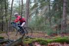 dsc02889_small.jpg