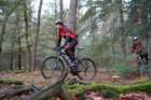 dsc02890_small.jpg