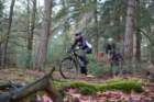 dsc02898_small.jpg