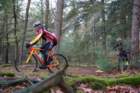 dsc02907_small.jpg