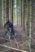 dsc02915_small.jpg