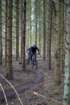 dsc02916_small.jpg
