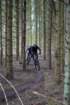 dsc02917_small.jpg
