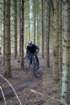 dsc02918_small.jpg