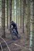 dsc02919_small.jpg