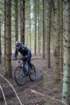 dsc02920_small.jpg