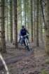 dsc02952_small.jpg
