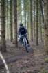 dsc02953_small.jpg