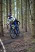 dsc02954_small.jpg