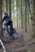 dsc02956_small.jpg