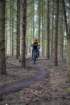 dsc02957_small.jpg