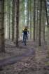 dsc02958_small.jpg