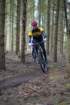 dsc02959_small.jpg