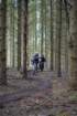 dsc02962_small.jpg