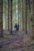 dsc02963_small.jpg