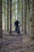 dsc02966_small.jpg