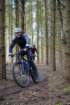 dsc02968_small.jpg