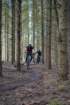 dsc02974_small.jpg