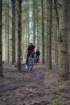 dsc02975_small.jpg