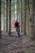 dsc02978_small.jpg