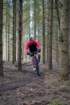 dsc02979_small.jpg