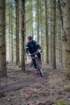 dsc02980_small.jpg