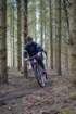 dsc02981_small.jpg