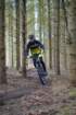 dsc02983_small.jpg