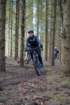 dsc02985_small.jpg