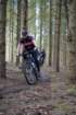dsc02987_small.jpg
